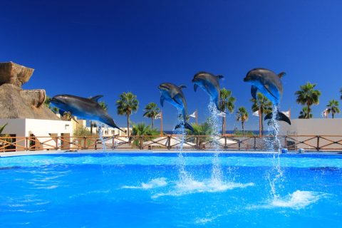 Gulfarium Marine Adventure Park