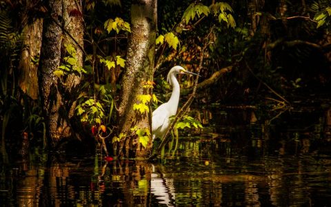 Turkey Creek Nature Preserve