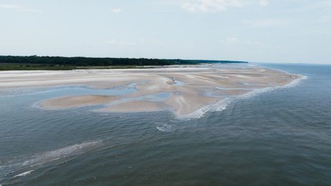 Hilton Head Distillery