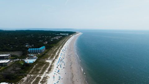 Hilton Head Island Seafood Festival