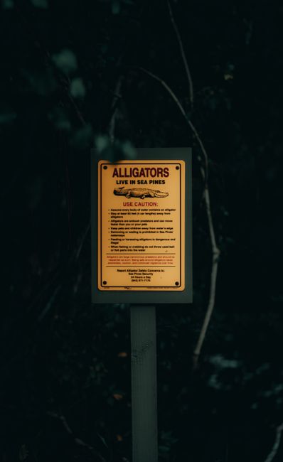 Sea Pines Forest Preserve