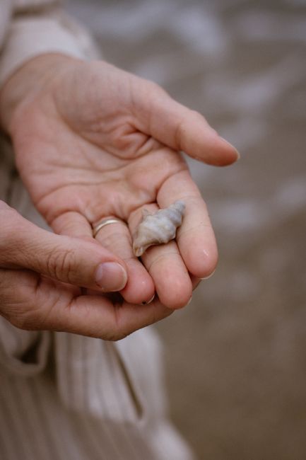 Sea Pines Shell Ring
