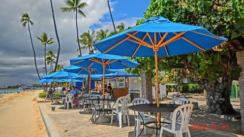 Koa Oasis Booze Shack
