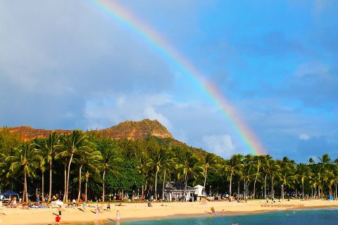 natuRe waikiki