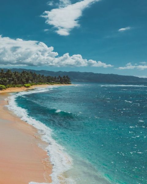 North Shore (Haleiwa & Sunset Beach)