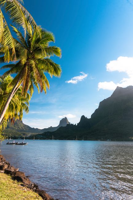 Tahiti Nui