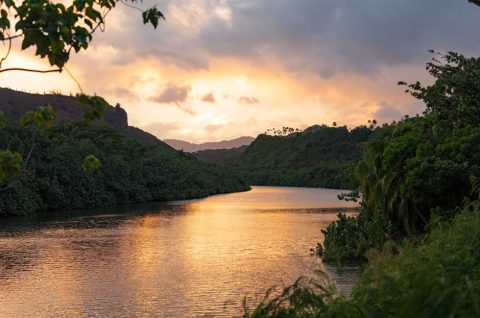 Wailua River Kayak & Fern Grotto