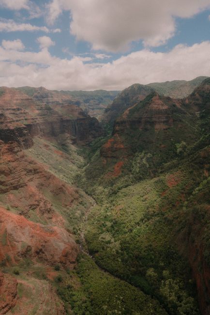 Waimea Town Celebration