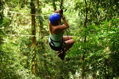 Zipline Canopy Tours