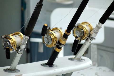 Backcountry Flats Fishing Charter