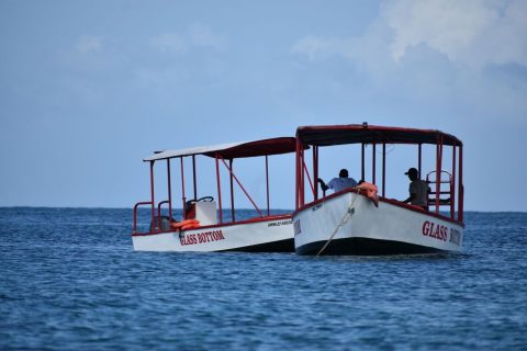 Glass Bottom Boat Tour
