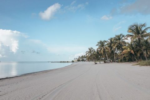 Higgs Beach