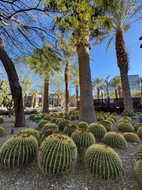 Ethel M Chocolate Factory and Botanical Cactus Garden
