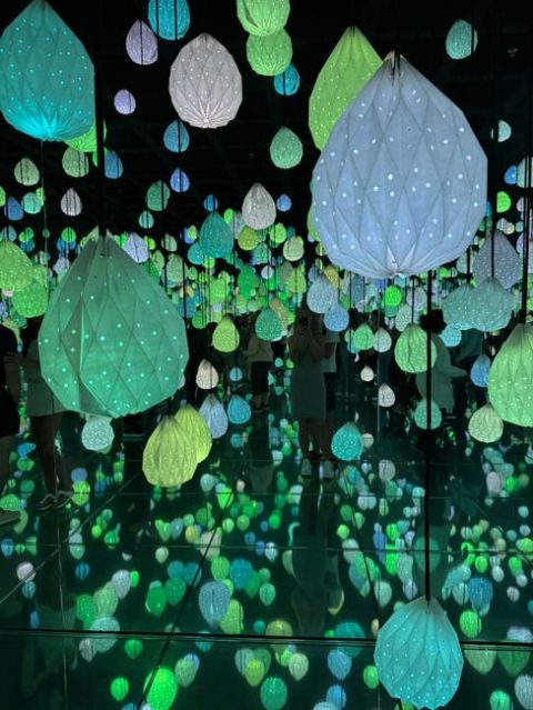 Springs Preserve Season of Light