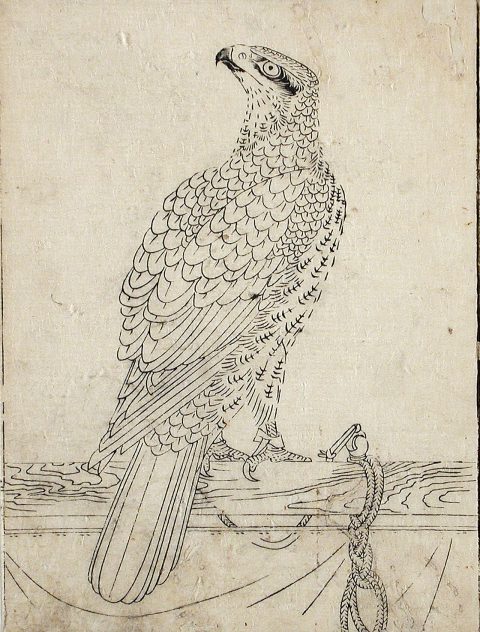 Perch