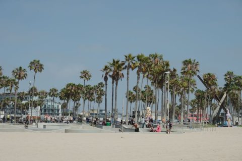 Venice Beach
