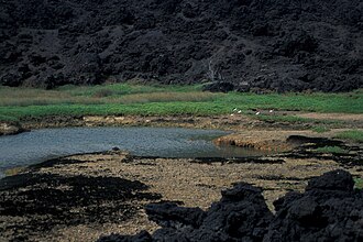Ahihi-Kinau Natural Area Reserve