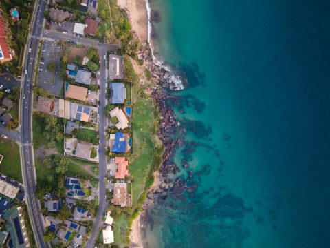 Halloween in Lahaina Town