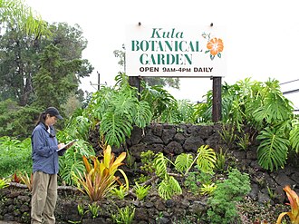 Kula Botanical Garden
