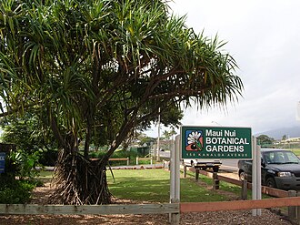 Maui Nui Botanical Gardens
