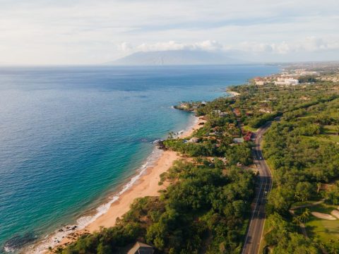 Maui Ocean Fest and Paddleboard Championships