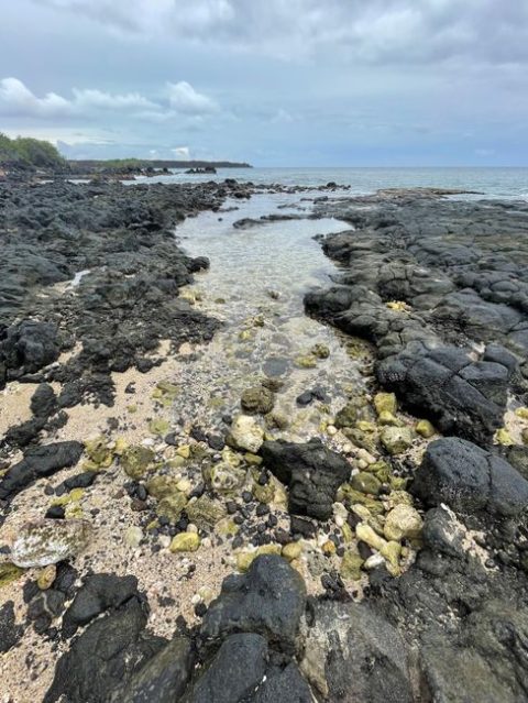 Olivine Pools