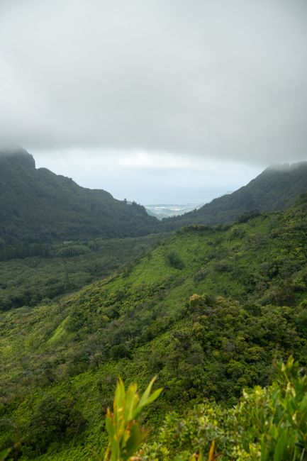 Waihee Ridge Trail