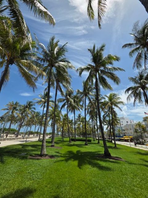 Crandon Park Beach