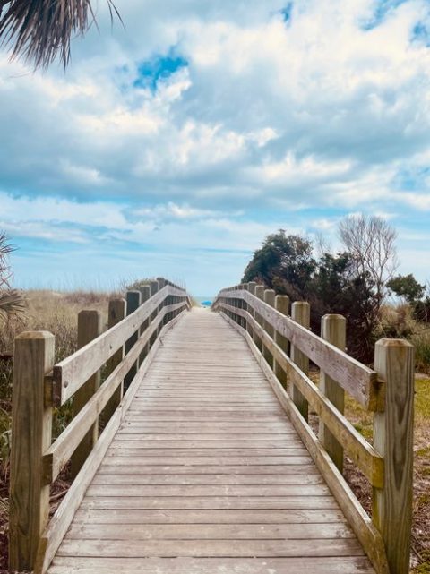 Myrtle Beach State Park Nature Trails