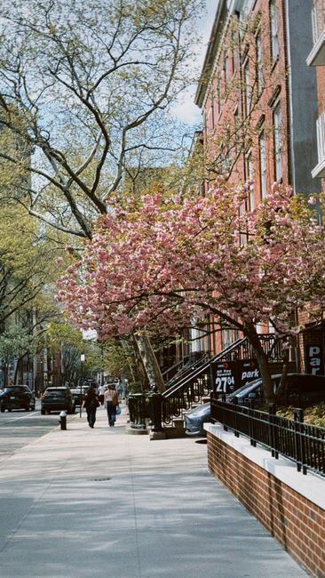 Greenwich Village & West Village