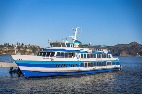Bay Cruises