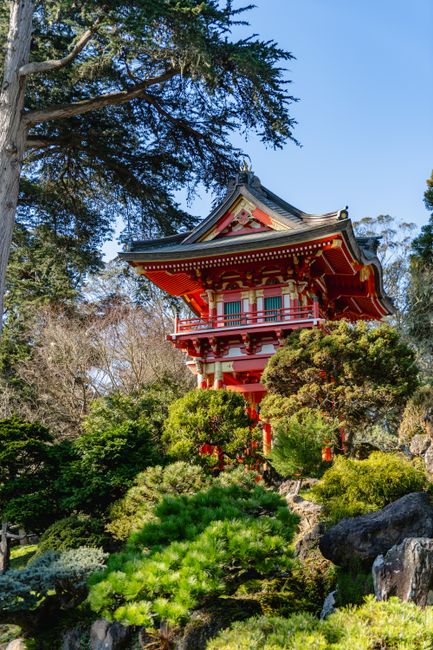Japanese Tea Garden