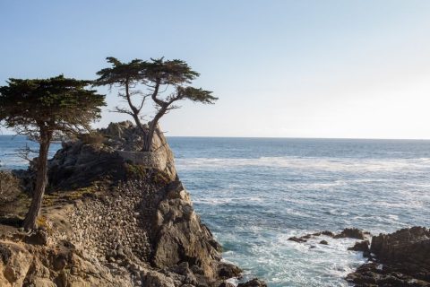 Monterey & Carmel-by-the-Sea