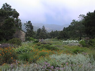 Santa Barbara Botanic Garden