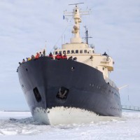 Pixwords Freagrai 16 litreacha