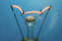 PixWords atsakymai 19 raidės