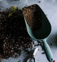 PixWords Respostas 2 letras