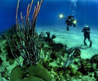 PixWords atsakymai 21 raidės