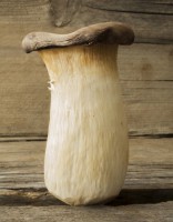 PixWords Losungen 24 Buchstaben