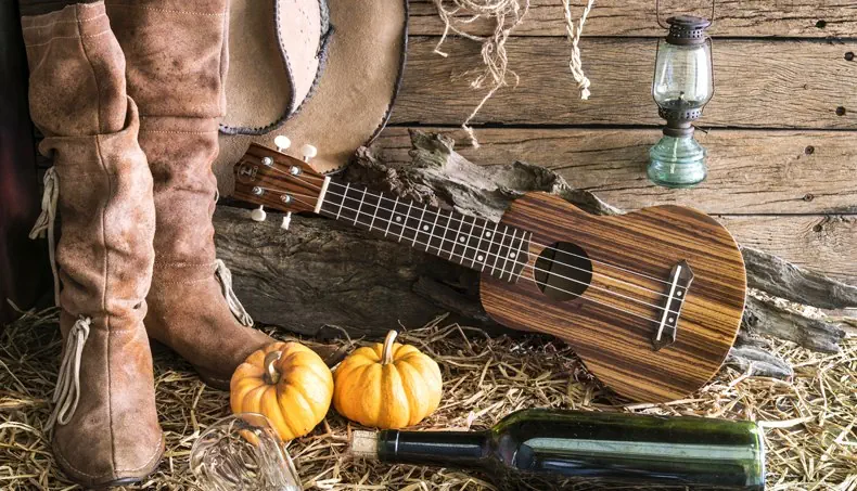 BOOTS, GUITAR, STRINGS, PUMPKIN, BOTTLE