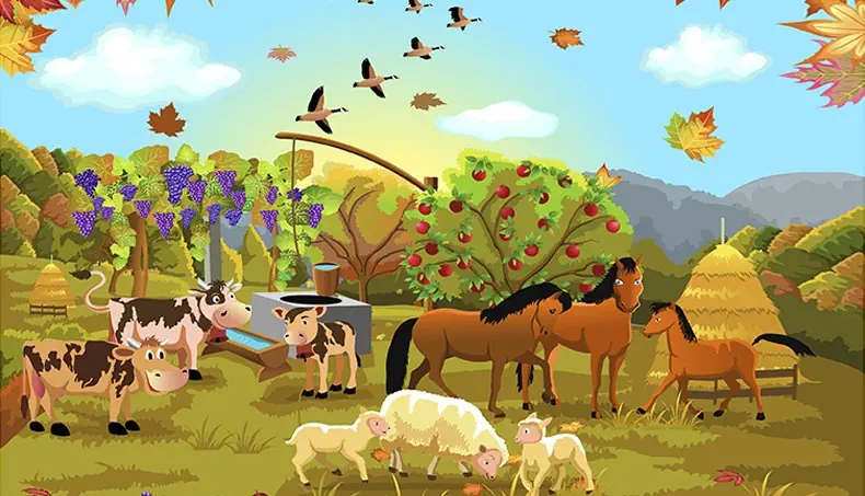 COW, SHEEP, FOAL, HAYSTACK, FARM