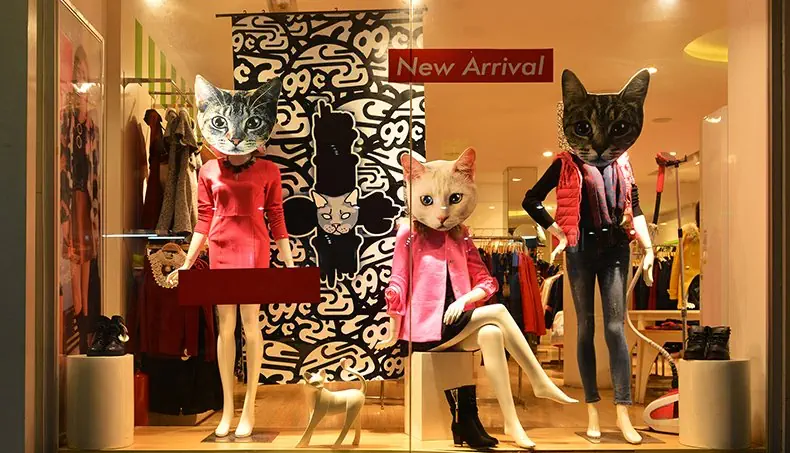 CAT, BOUTIQUE, SHOWCASE, JEANS, SHOES
