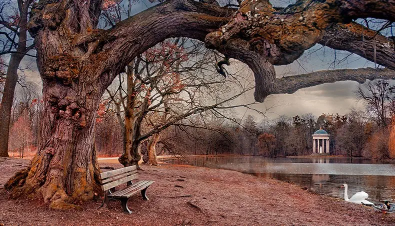 BENCH, GAZEBO, SWAN, LAKE, PARK