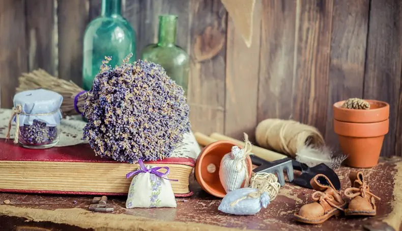 SACHÉ, LIVRO, SAPATOS, LAVANDA, PLUMA