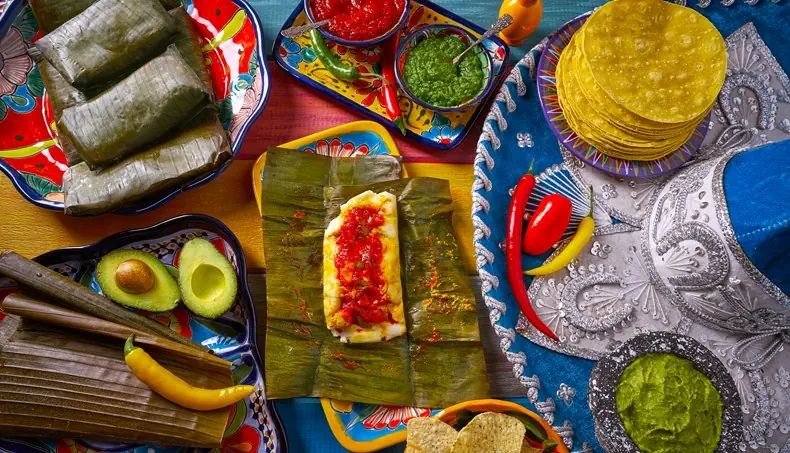 AVOCADO, ARDEI, LIPIE, SOS, SÂMBURE