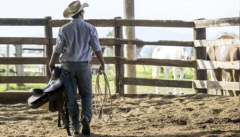 COWBOY, FERMĂ, ȘA, BLUGI, LASOU