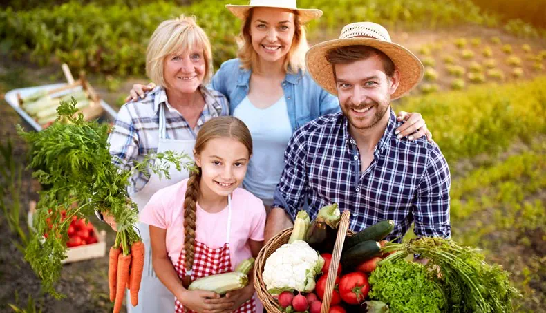 FARM, CARROTS, PLAIT, GRANDMOTHER, CAULIFLOWER