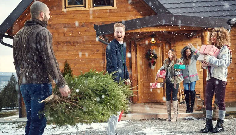 CHRISTMAS, GIFT, CHALET, NEW YEAR TREE, PULLOVER