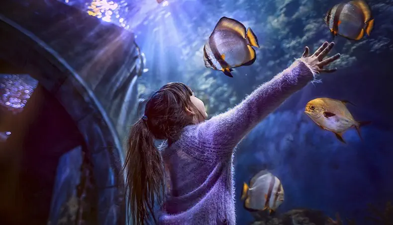 GIRL, OCEANARIUM, FISH, GLASS, PONYTAIL