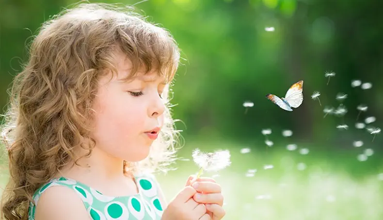 PAPILLON, PISSENLIT, FILLE, CHEVEUX BOUCLÉS, SOUHAIT